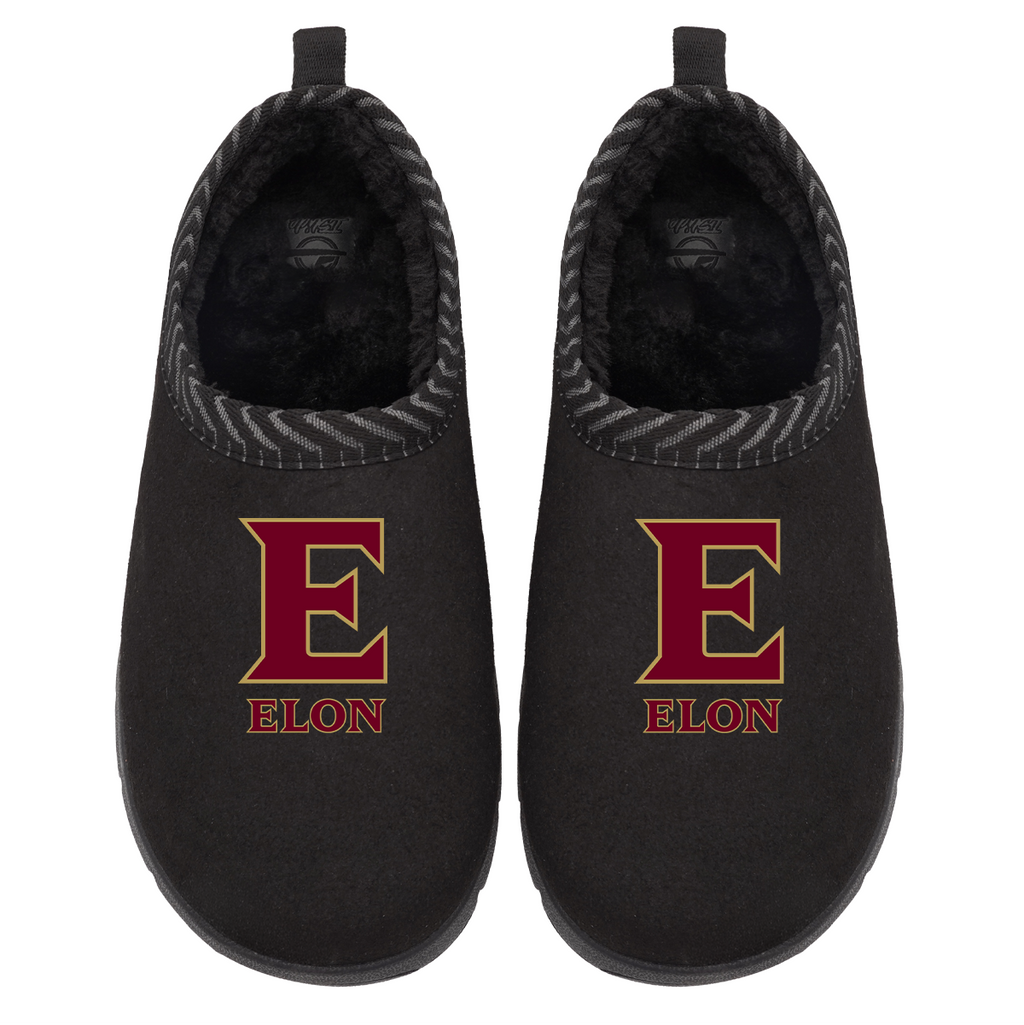 Elon Phoenix Primary Logo Mission