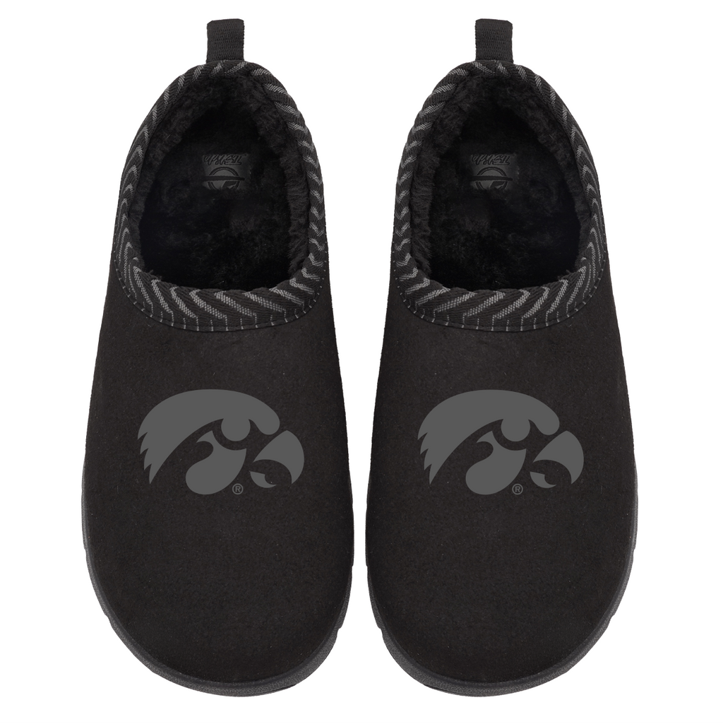 Iowa Hawkeyes Tonal Logo Mission