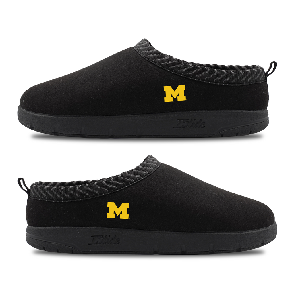 Michigan Wolverines Minimalistic Mission
