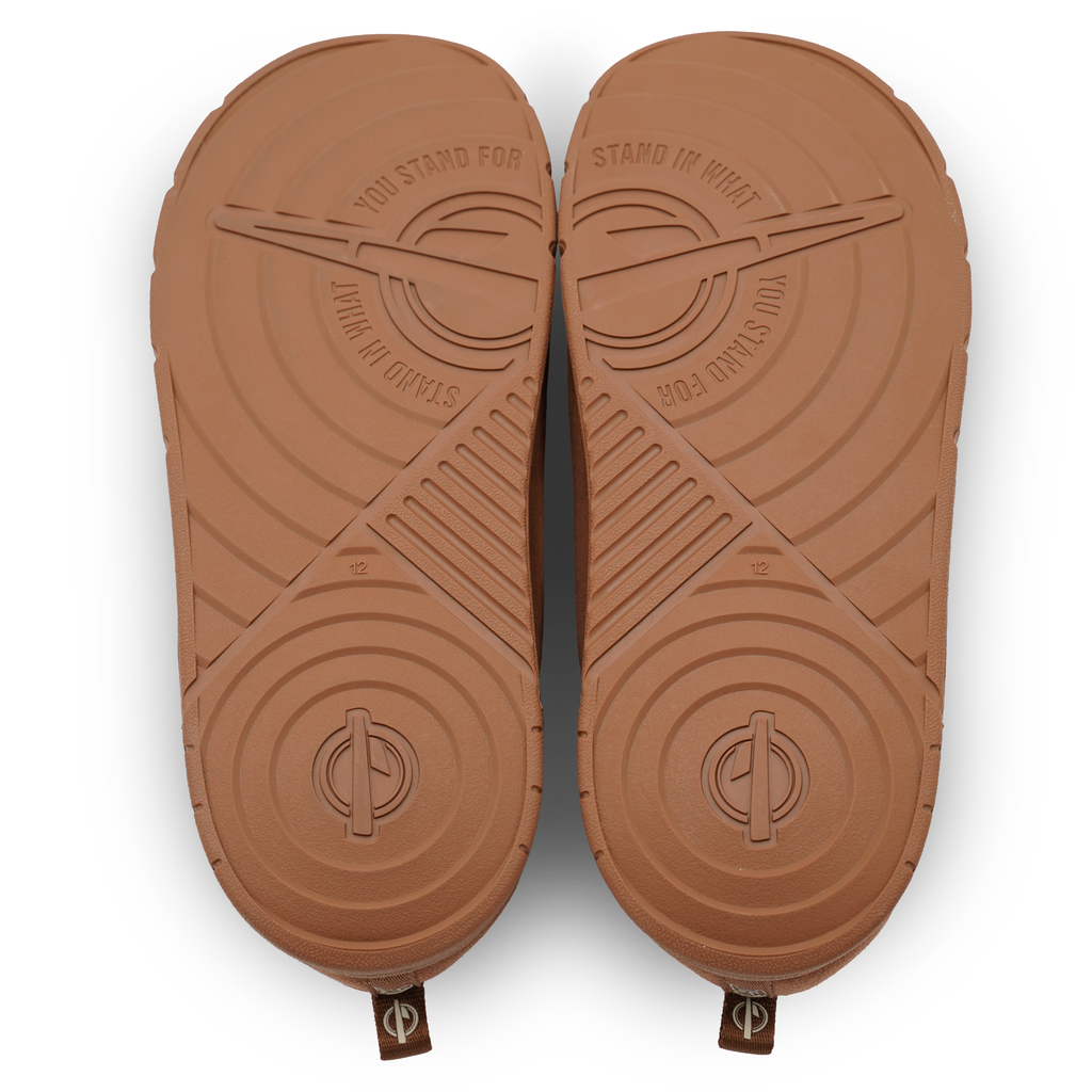 Florida Panthers Primary Logo Mission