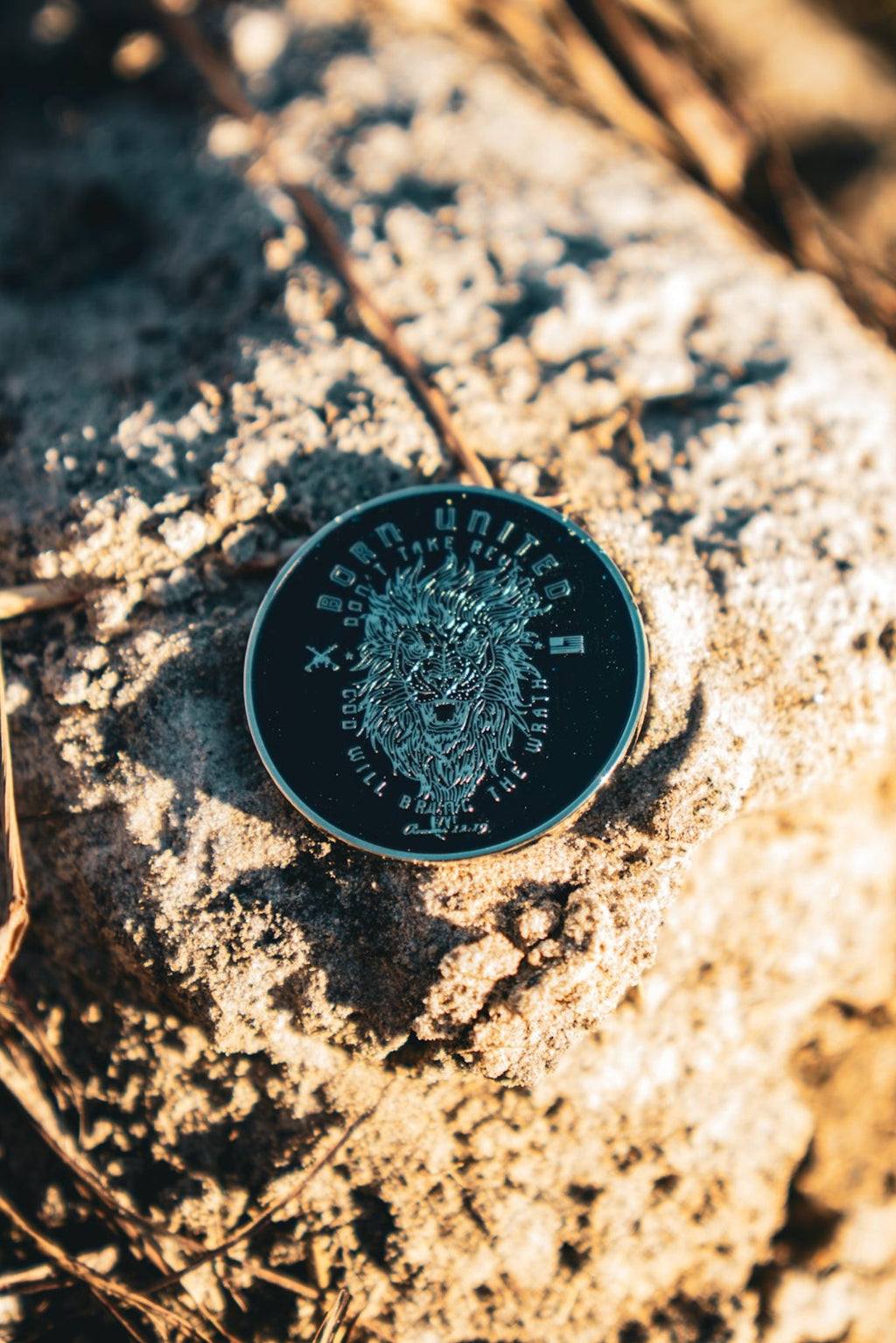 Revenge Challenge Coin