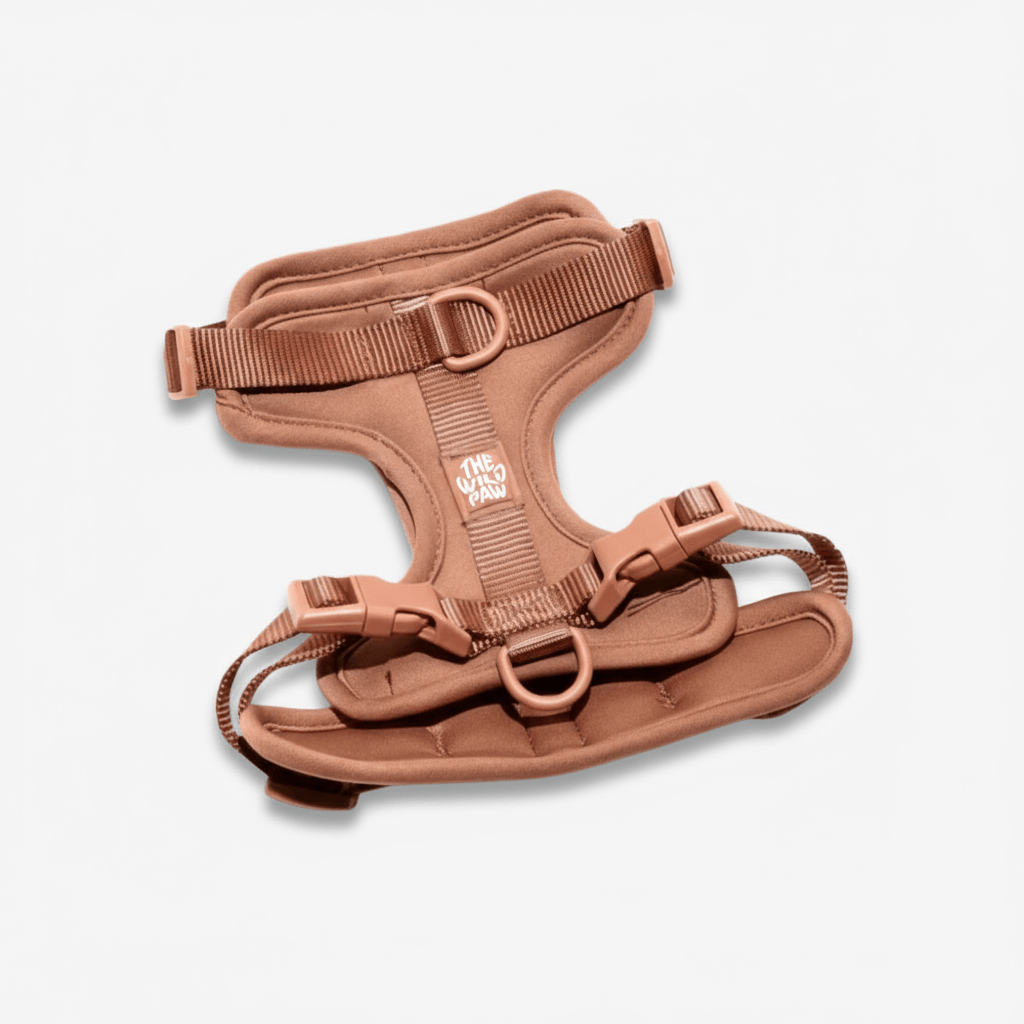 AdventurePro Harness